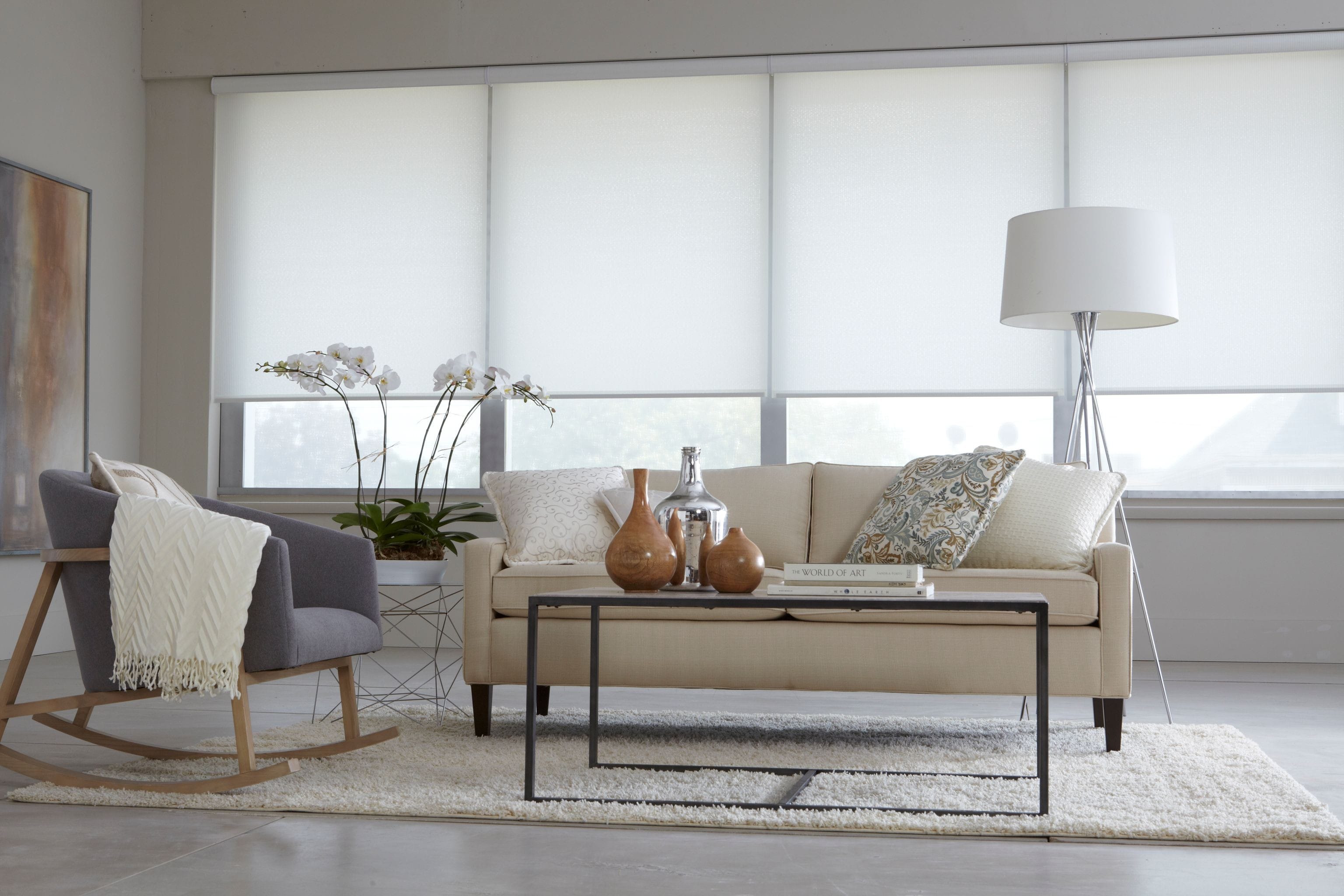 modern living room with roller shades